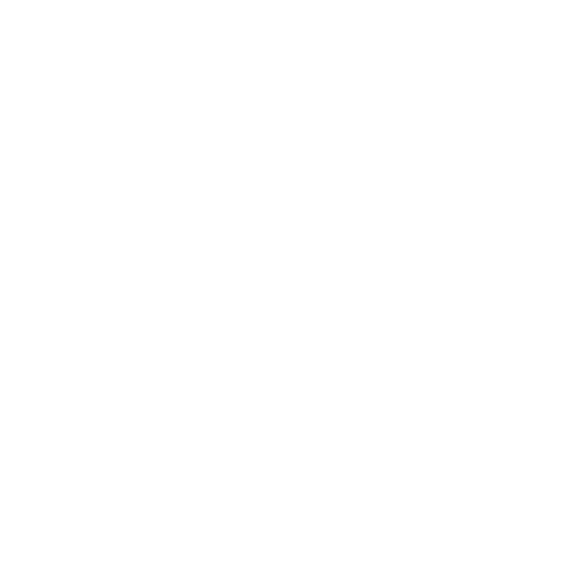 Lien github